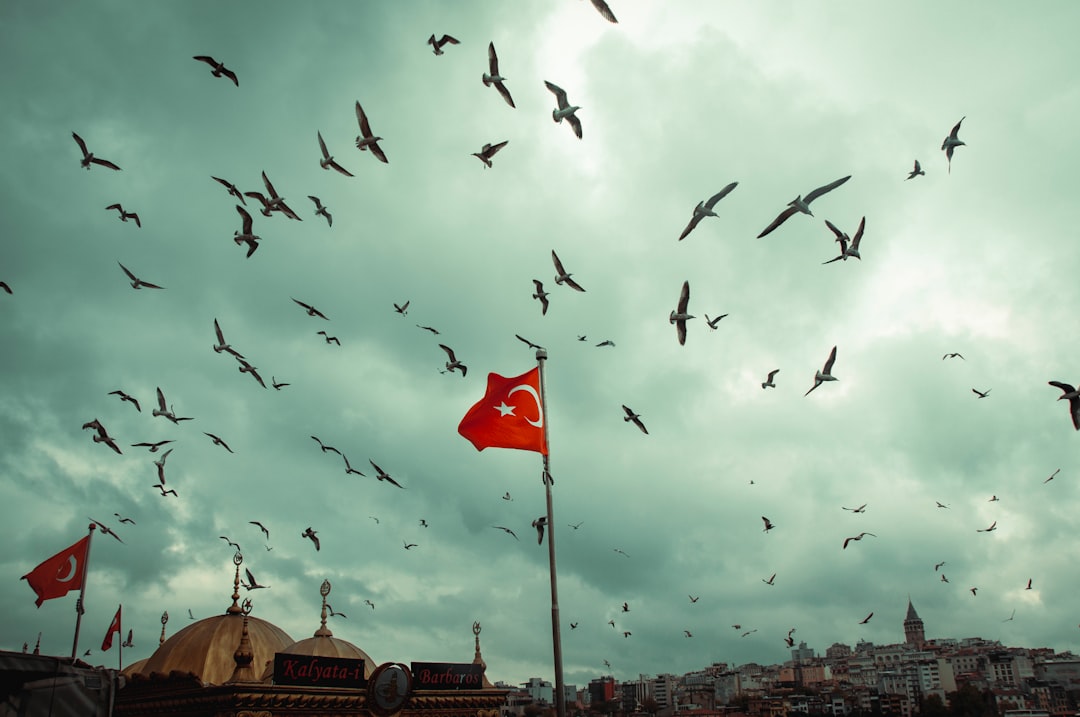 Bursa'daki Taşmacılık Şirketi İflas Etti, Mahkeme Kararları - Ekonomi haberi görseli Bursa'daki Taşmacılık Şirketi İflas Etti, Mahkeme Kararları - Ekonomi haberi görseli