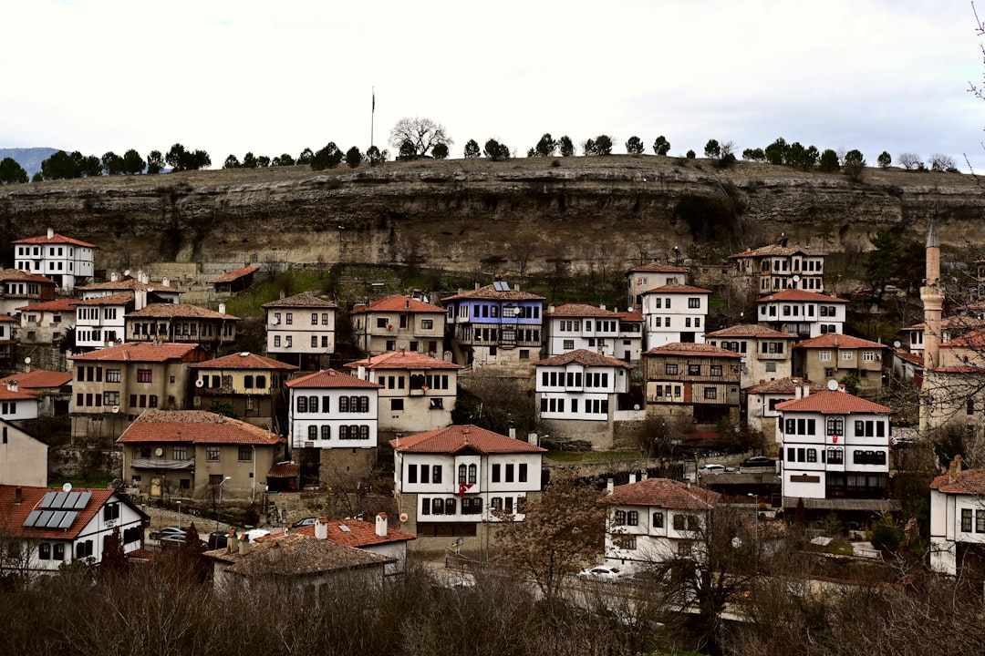 Konya'daki Barınak Projesi ve Mezuniyet Coşkusu! - Gündem haberi