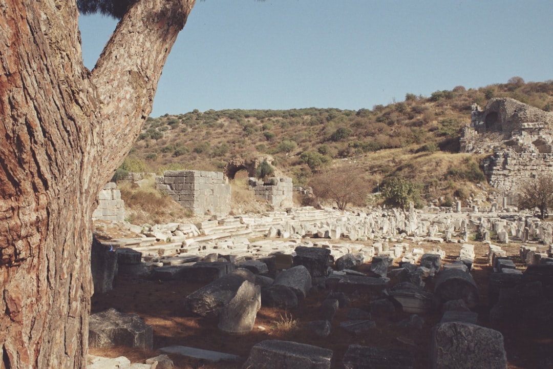 Efes Antik Kenti'nde Gece Müzeciliği Başladı! - Kültür-Sanat haberi görseli Efes Antik Kenti'nde Gece Müzeciliği Başladı! - Kültür-Sanat haberi görseli