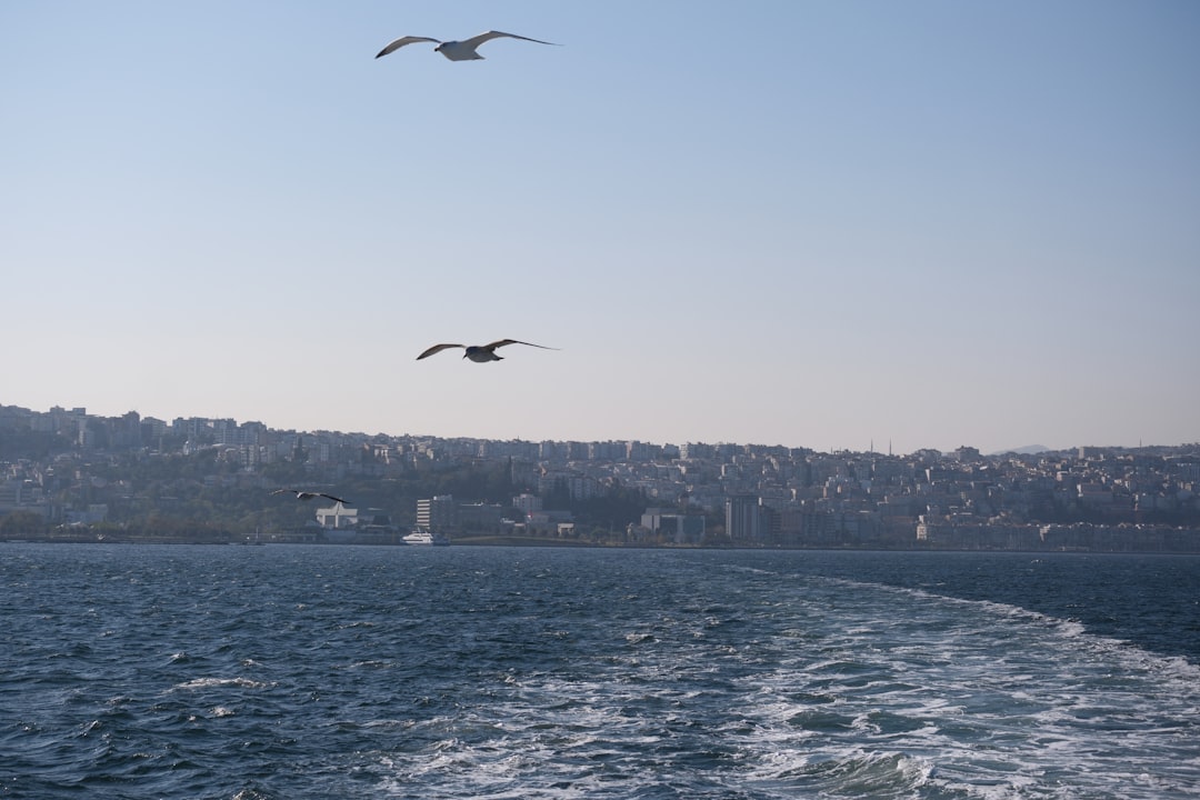 İzmir'de Konut Fiyatları Gerilemeye Başladı - Ekonomi haberi
