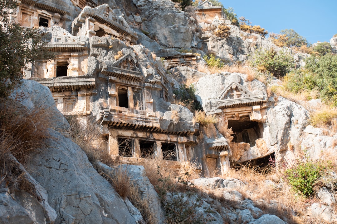 Konya'daki Yayla Sakinleri İstilacı Kokarcanlar Nedeniyle Korku Çekiyor - Gündem haberi görseli
