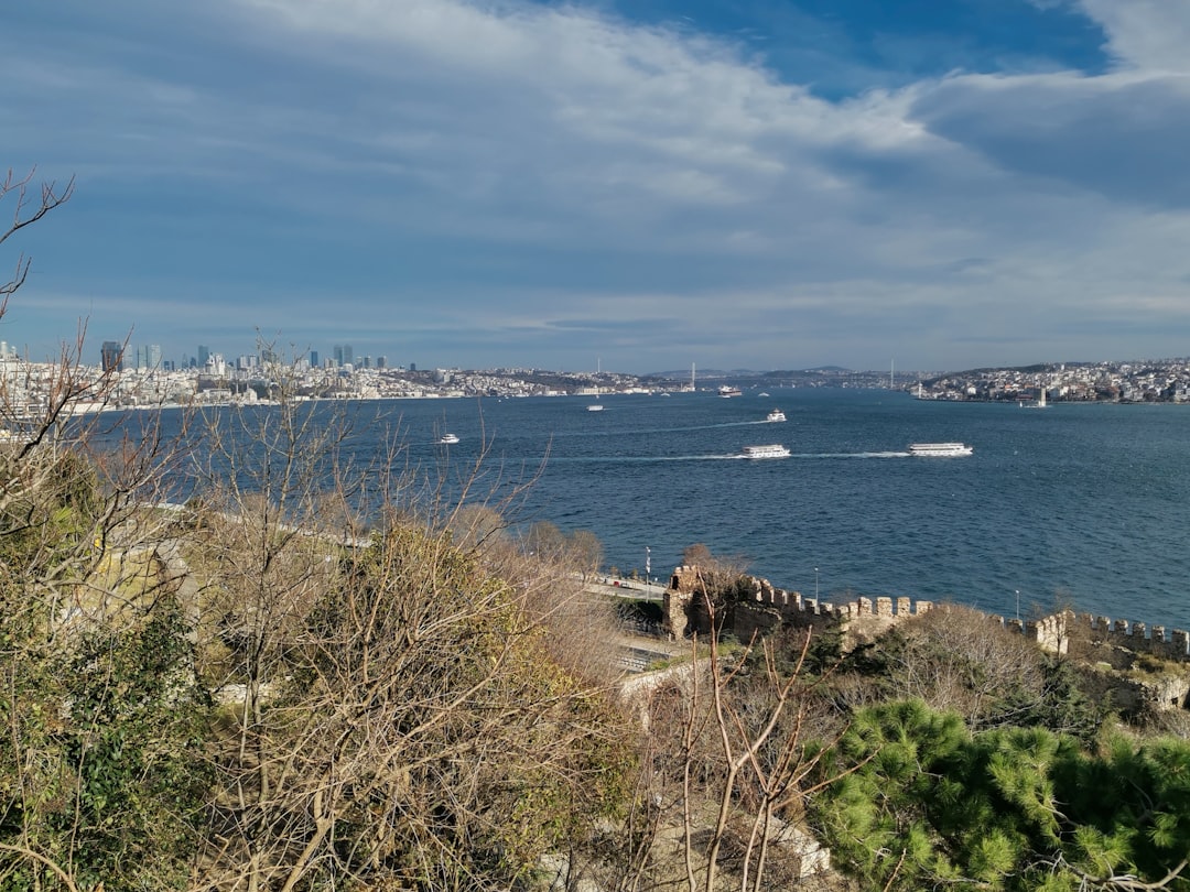 İstanbul'da Topraksız Tarımın Ekonomik Yenilikleri - Ekonomi haberi görseli
