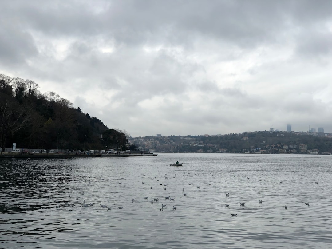 İstanbul'da 67 Plaj 'Mükemmel' Yüzme Suyu Kalitesiyle Açıklanıyor - Sağlık haberi İstanbul'da 67 Plaj 'Mükemmel' Yüzme Suyu Kalitesiyle Açıklanıyor - Sağlık haberi