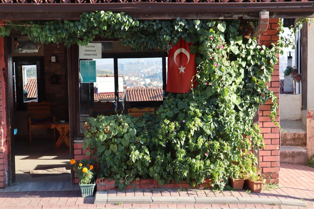 Anadolu Medeniyetleri Müzesi Yeniden Açılıyor: 288 Eser İlk Kez Sergileniyor! - Kültür-Sanat haberi görseli