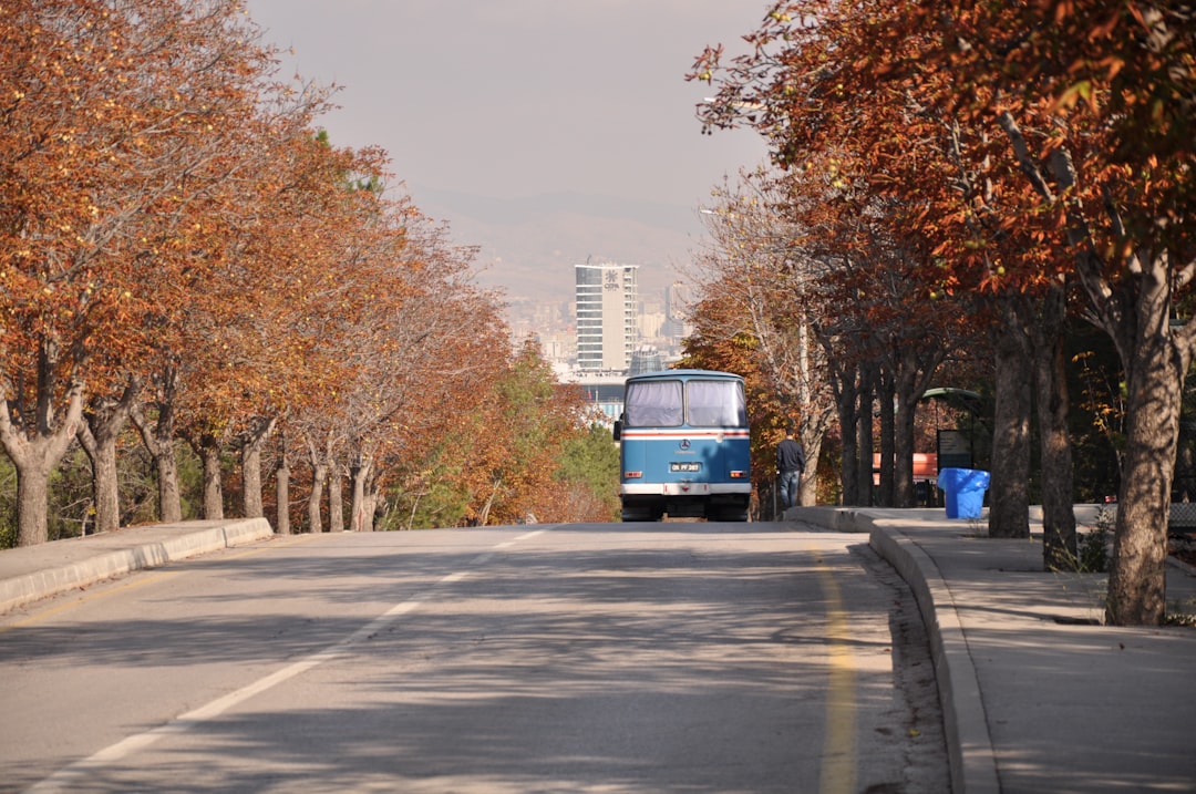 Ankara'da Yol Çalışması Sonrası Kanalizasyon Skandalı Çığır Dışıyor - Yaşam haberi görseli