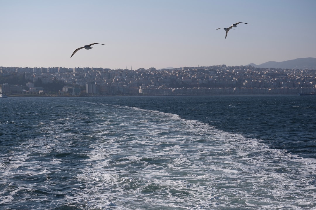 İzmir'in Ekonomik Gelişmeleri ve Yeni İhaleler - Ekonomi haberi