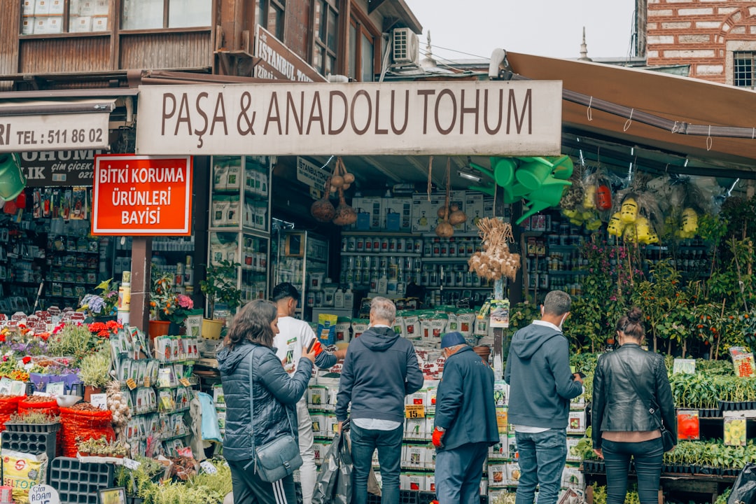 İstanbul'da Taze Meyvelerin Fiyatları Düşüyor, Diğer Ürünlerde Artış - Ekonomi haberi görseli