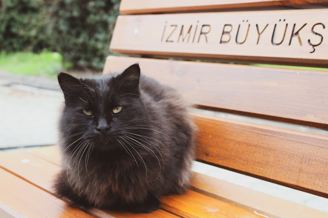 İzmir Otogarı İşletmesi Yeni Dönem için Belediyeye Devredilecek - Ekonomi haberi görseli
