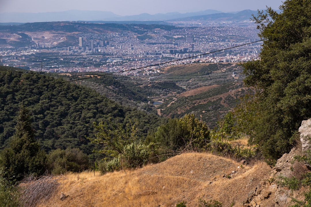 İzmir'de Yeni Sentetik Ecza Operasyonu: 9 Bin Hap Ele Kaptırıldı - Gündem haberi görseli