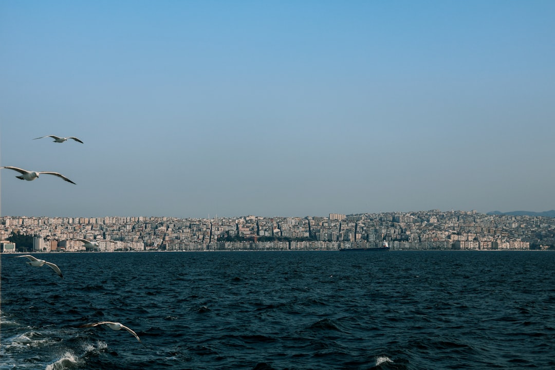 İzmir'de Yaşam İlerlemeleri: Çöp İsyani ve Toz Sorunları Çözülüyor - Yaşam haberi