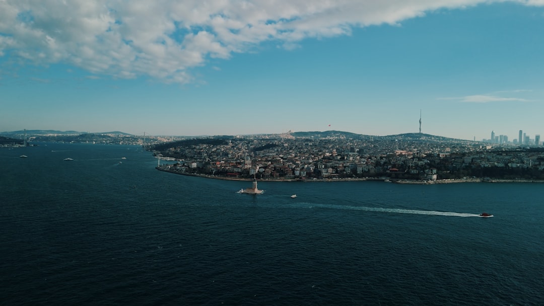 İstanbul'da Kene Vaka Sayısı 7 Bin'i Aştı - Sağlık haberi