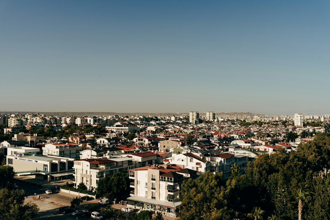 Adana Ticaret Borsası Yeni Yönetim Kurulu Seçildi, Avokado Fiyatı Düşüyor - Ekonomi haberi görseli