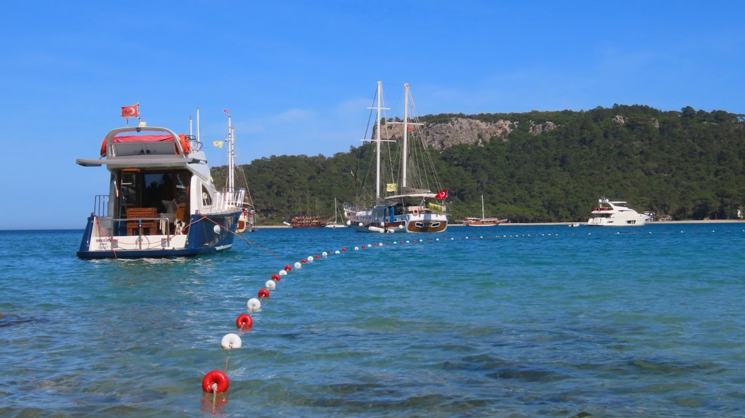 İzmir'de Sağlık ve Afet Tatbikatı Başarıyla Gerçekleştirildi - Sağlık haberi görseli