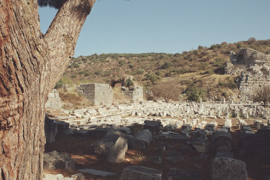 İzmir'de Kültür ve Sanat Etkinlikleri Hafta Boyu Devam Ediyor - Kültür-Sanat haberi görseli