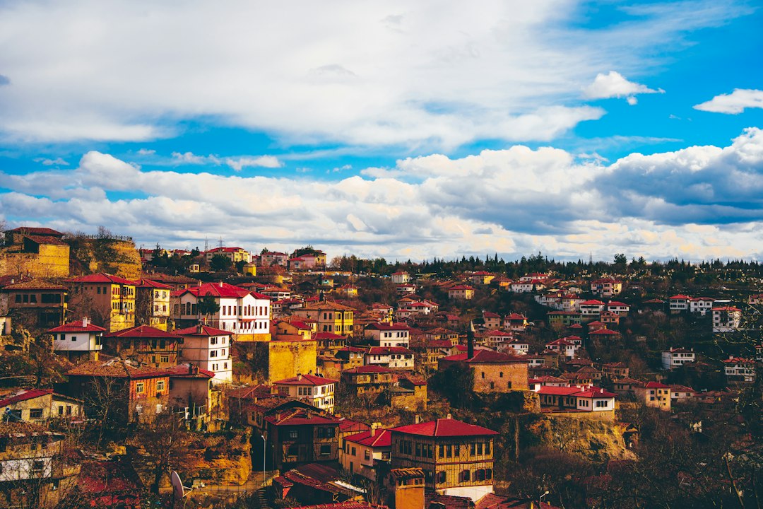Adana'da Geleneksel Zeytin Dalı Kültür ve Sanat Şöleni Başlıyor - Kültür-Sanat haberi