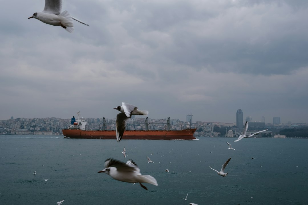 İstanbul'da Sel Sorunu: Can Kaybı 6'ya Yükseldi - Gündem haberi görseli İstanbul'da Sel Sorunu: Can Kaybı 6'ya Yükseldi - Gündem haberi görseli